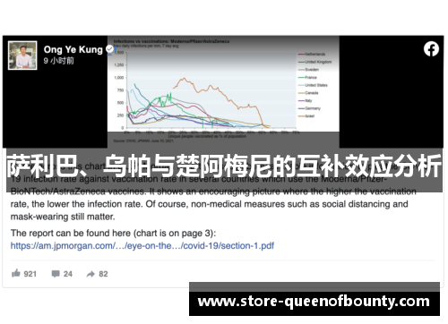 萨利巴、乌帕与楚阿梅尼的互补效应分析