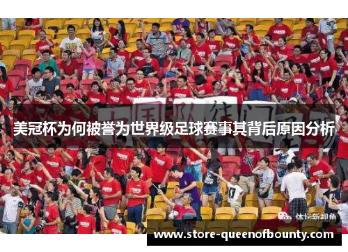 美冠杯为何被誉为世界级足球赛事其背后原因分析
